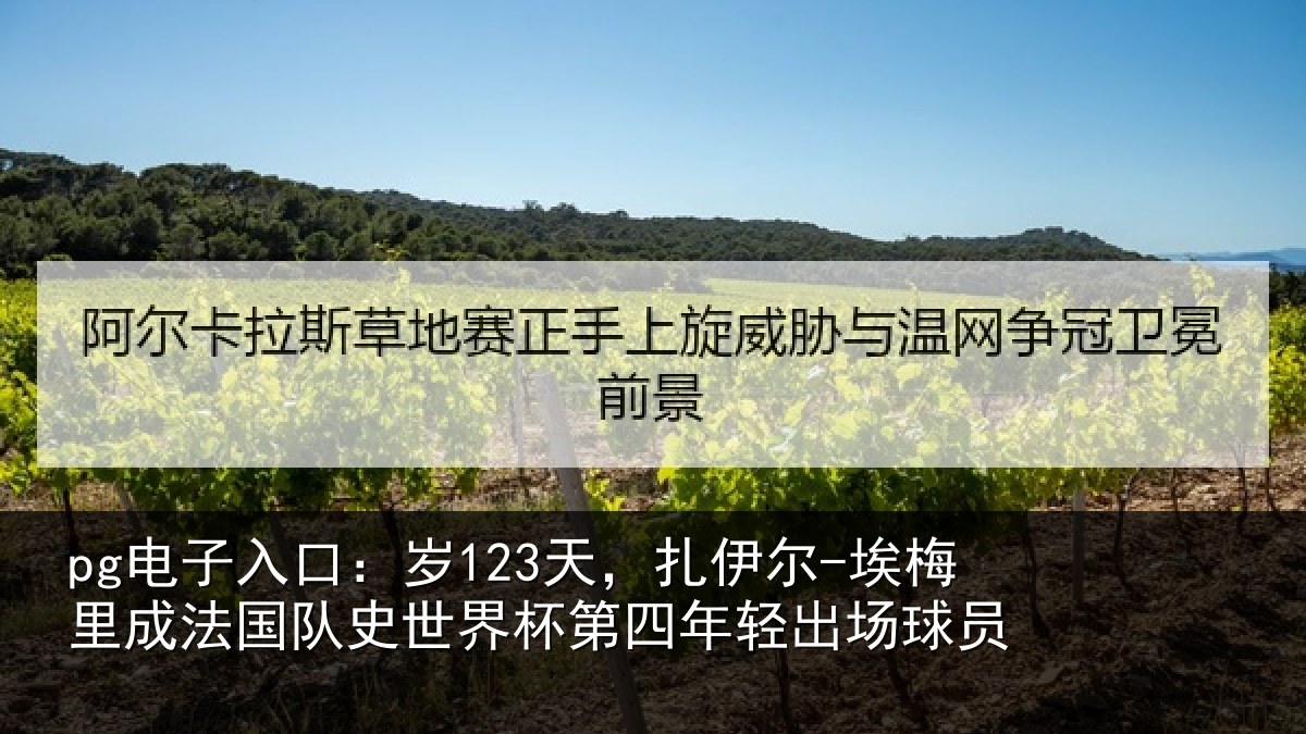 pg电子入口：岁天相关情况国队相关情况出场球员